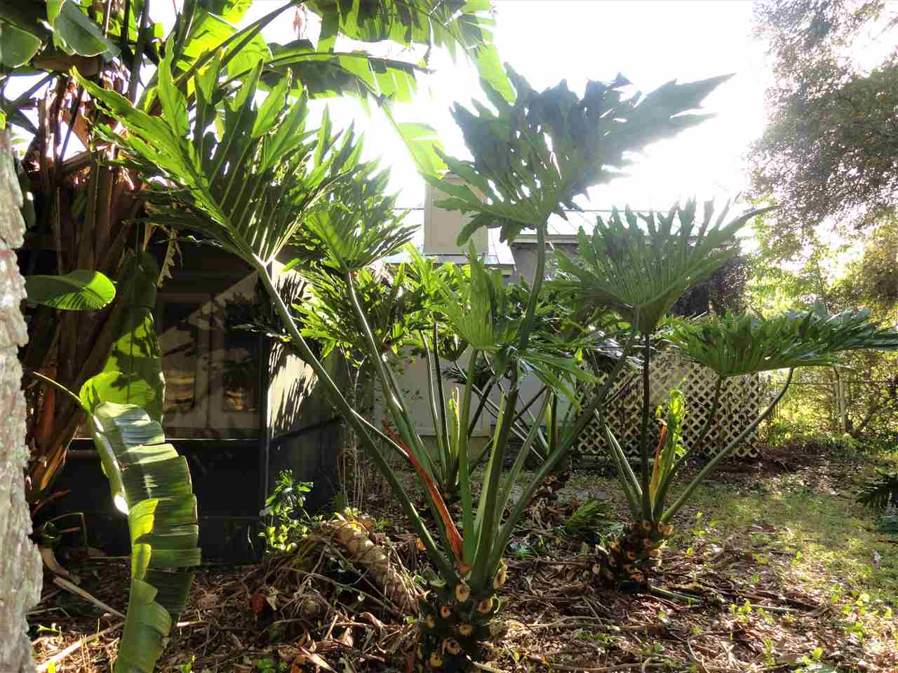564 Segovia Road St. Augustine, FL 32086 - Photo 20 of 29