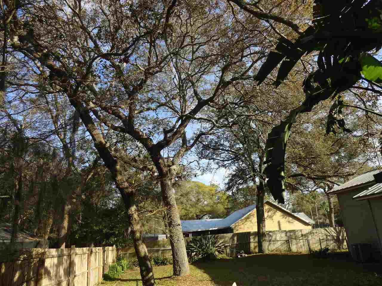 564 Segovia Road St. Augustine, FL 32086 - Photo 22 of 29