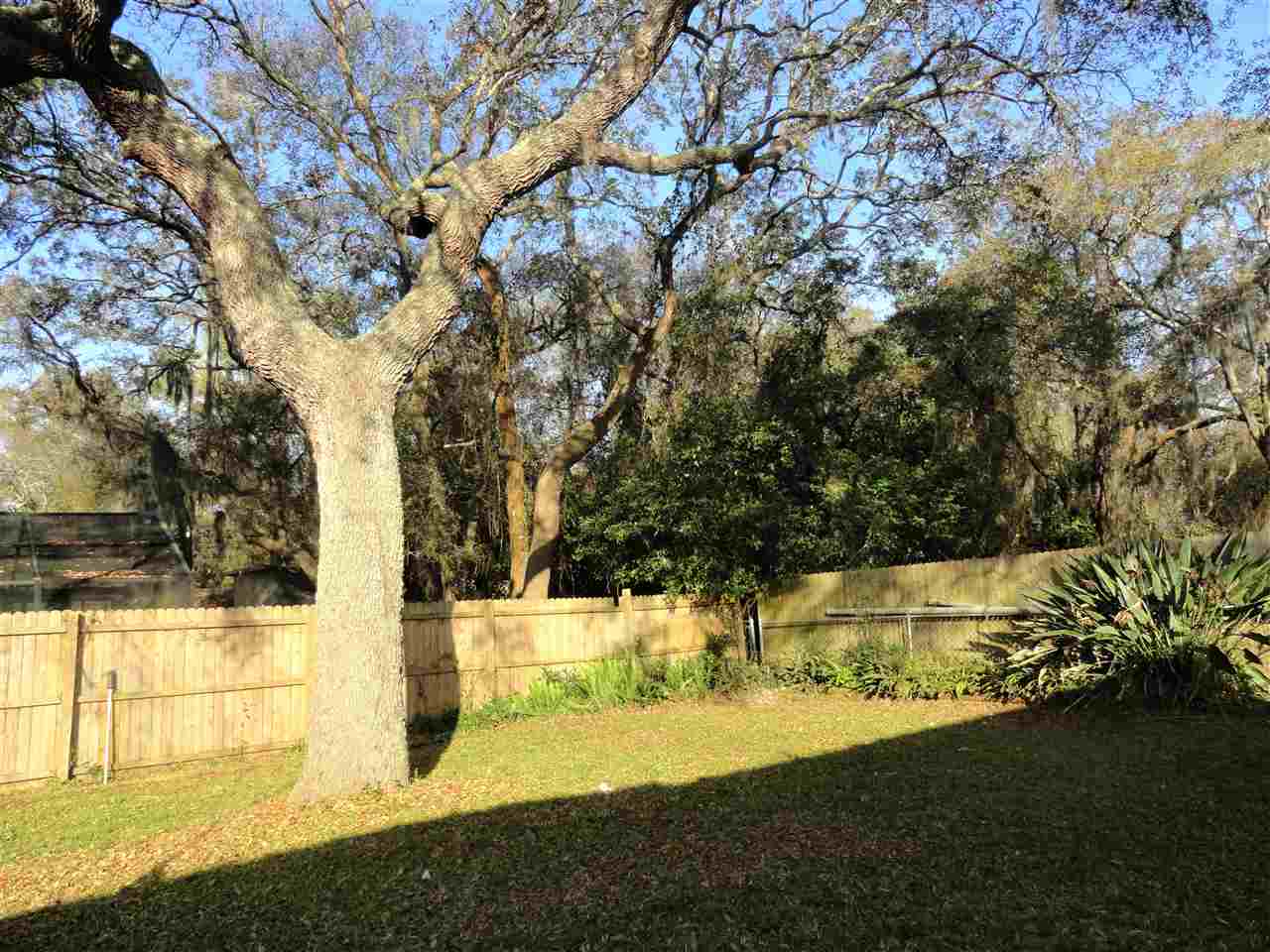 564 Segovia Road St. Augustine, FL 32086 - Photo 27 of 29