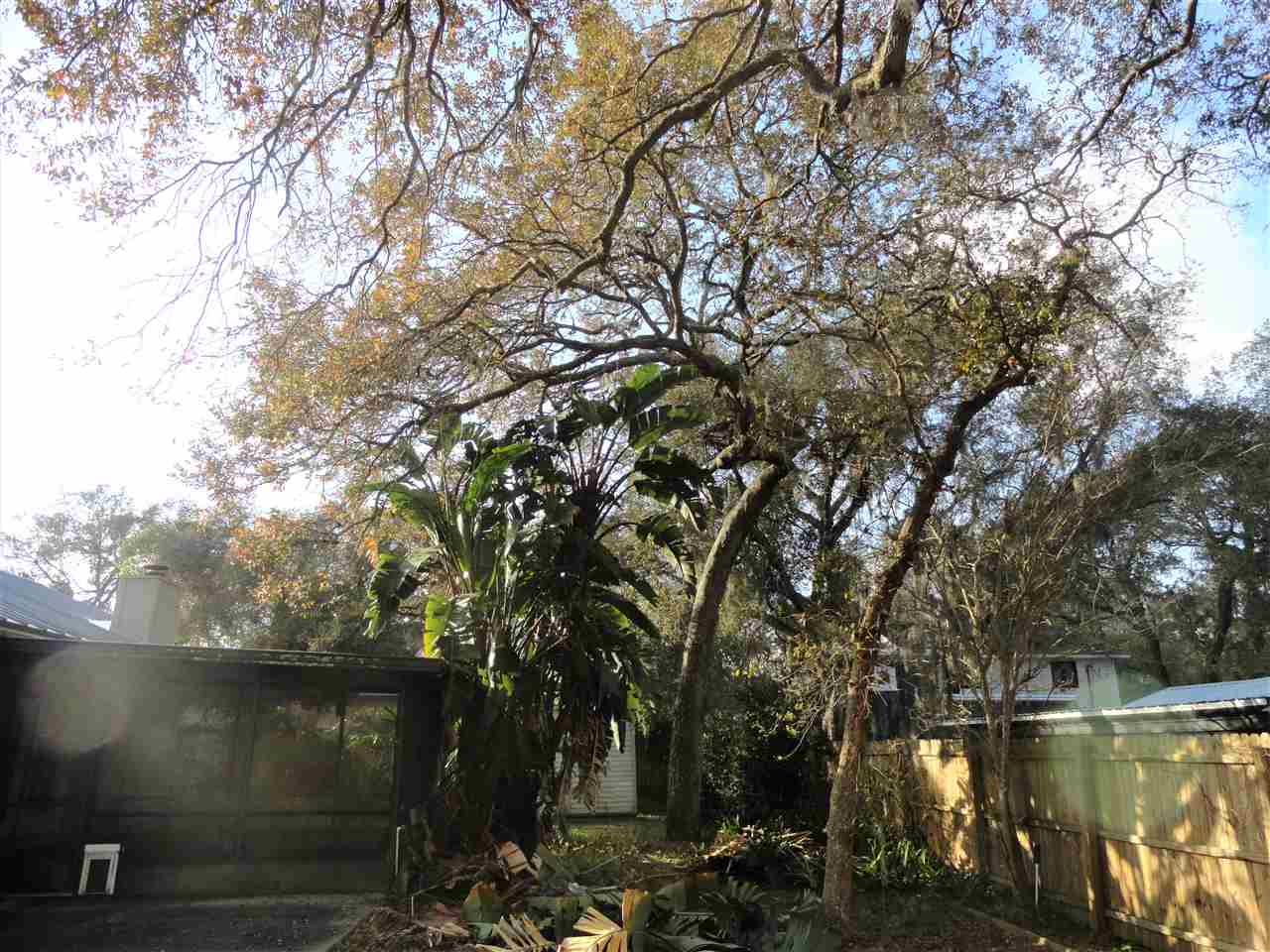 564 Segovia Road St. Augustine, FL 32086 - Photo 29 of 29