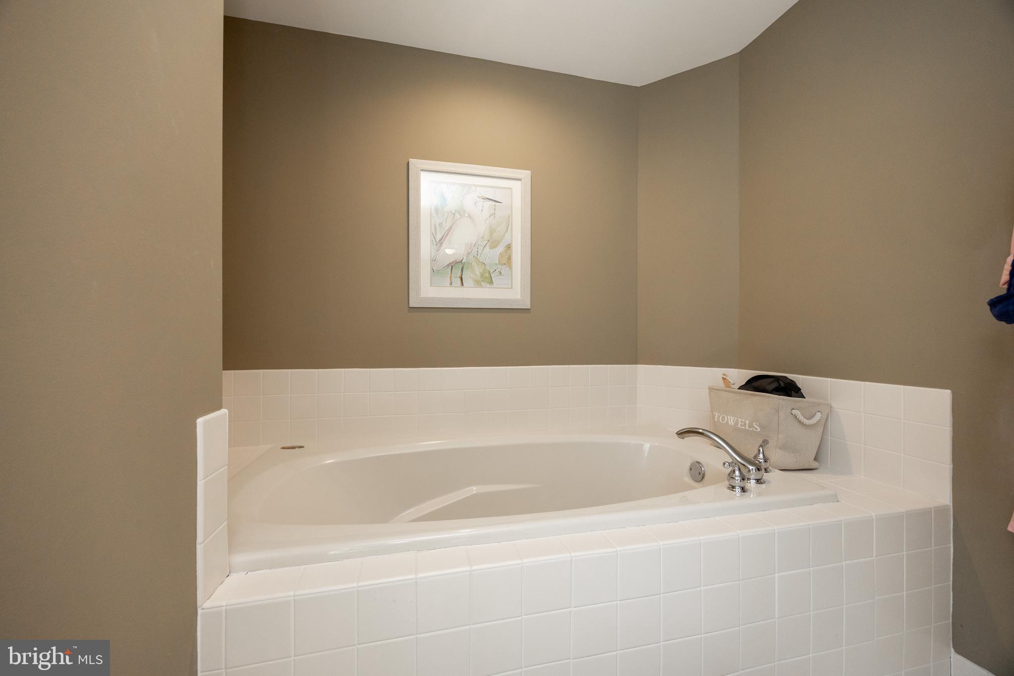 441 Wharton Boulevard Exton, PA 19341 - Photo 28 of 46 Sitting tub in Primary Bathroom