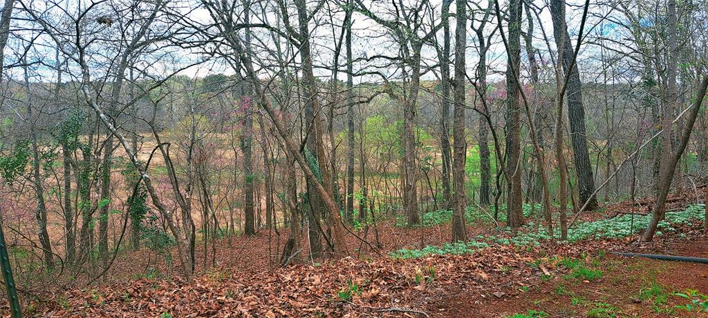 10774 County Road Tyler, TX 75702 - Photo 30 of 32