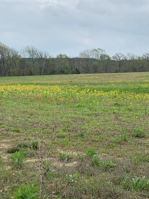 10774 County Road Tyler, TX 75702 - Photo 31 of 32