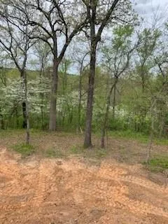 $1,495,000 | 10774 County Road, Tyler, TX 75702