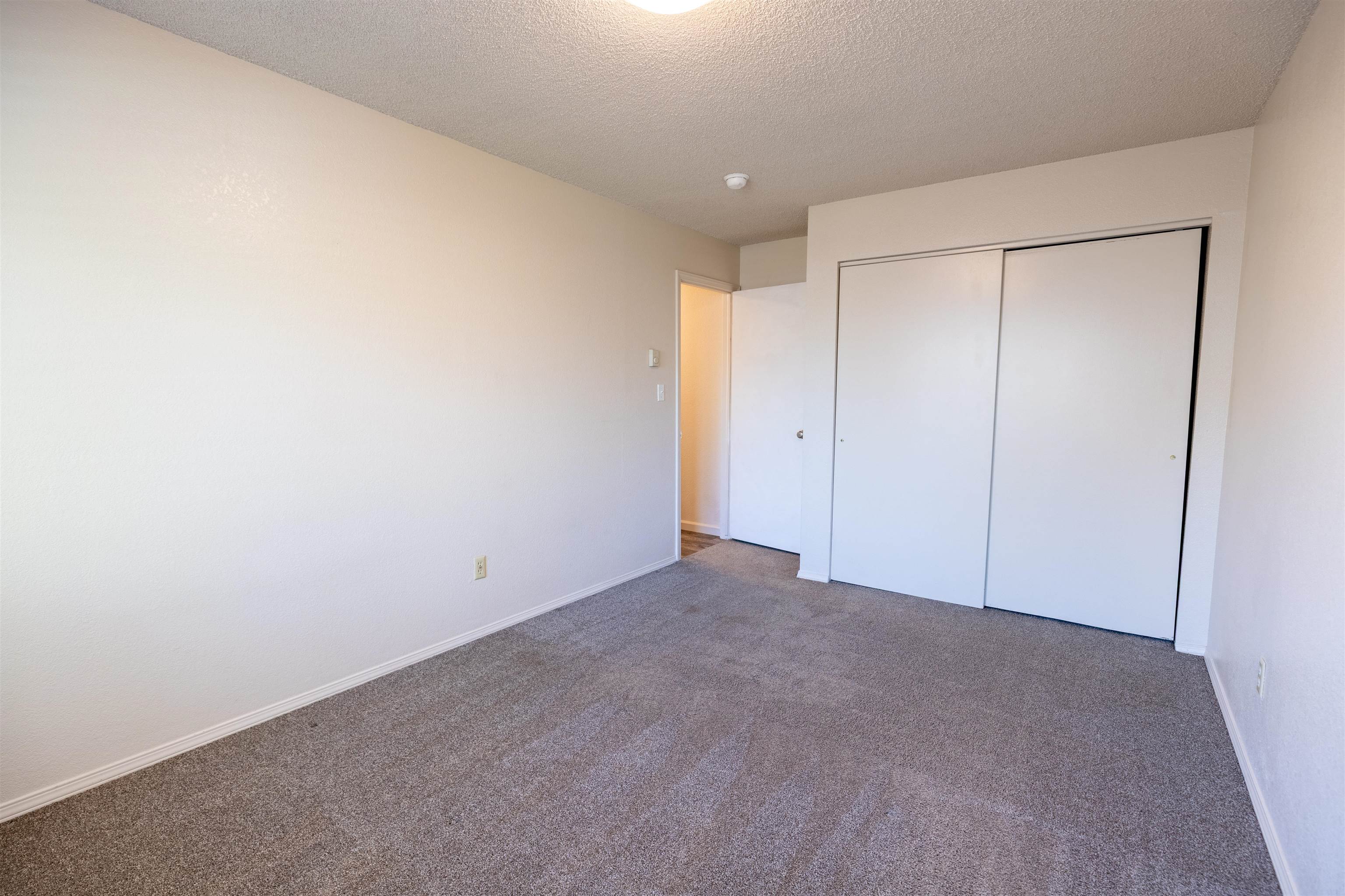 239 South Elm Street, Unit A Fruita, CO 81521 - Photo 16 of 22