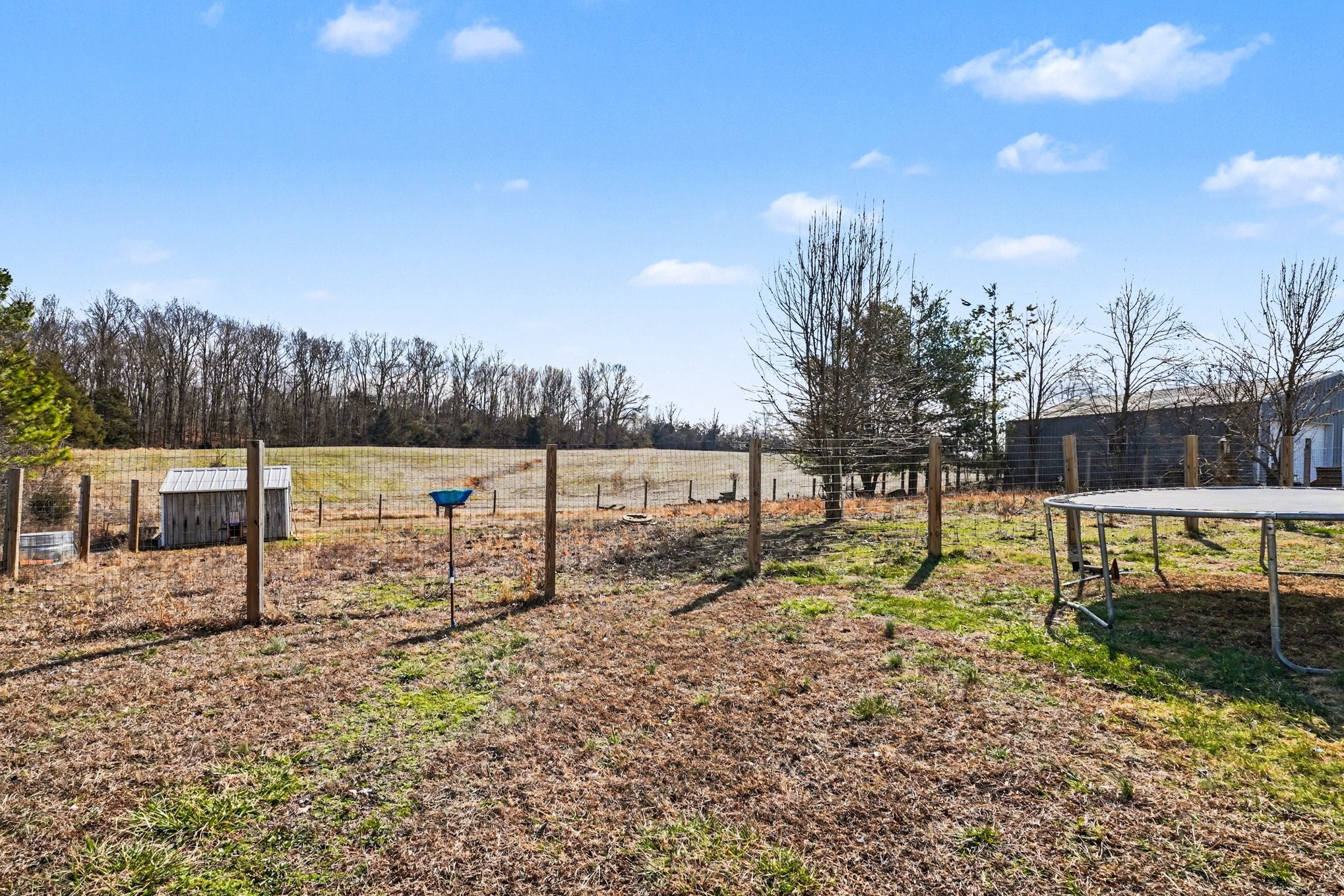 1510 Rapids Road Portland, TN 37148 - Photo 2 of 33 a view of backyard with green space