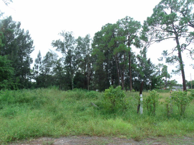 5768 Colbright Road Lake Worth, FL 33467 - Photo 4 of 6 a view of a green field with a tree