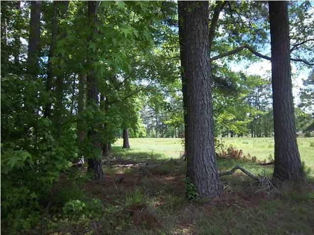 1752 Moselle Road Islandton, SC 29929 - Photo 9 of 13 Additional Photo