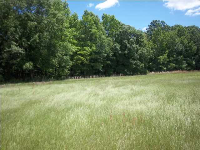 1752 Moselle Road Islandton, SC 29929 - Photo 10 of 13 Additional Photo