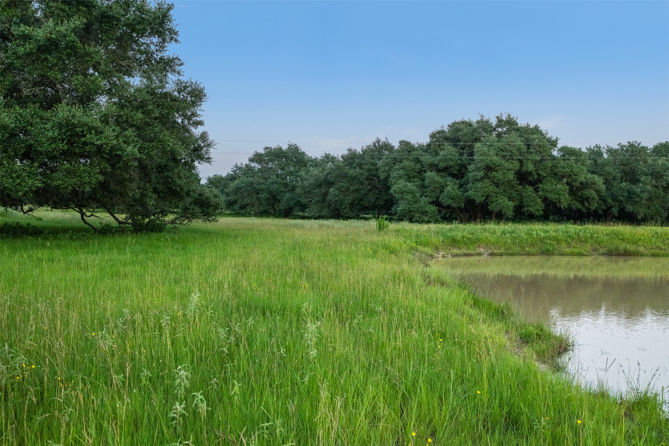 16204 Newberg Road New Ulm, TX 78950 - Photo 29 of 40 Gallery Image 29