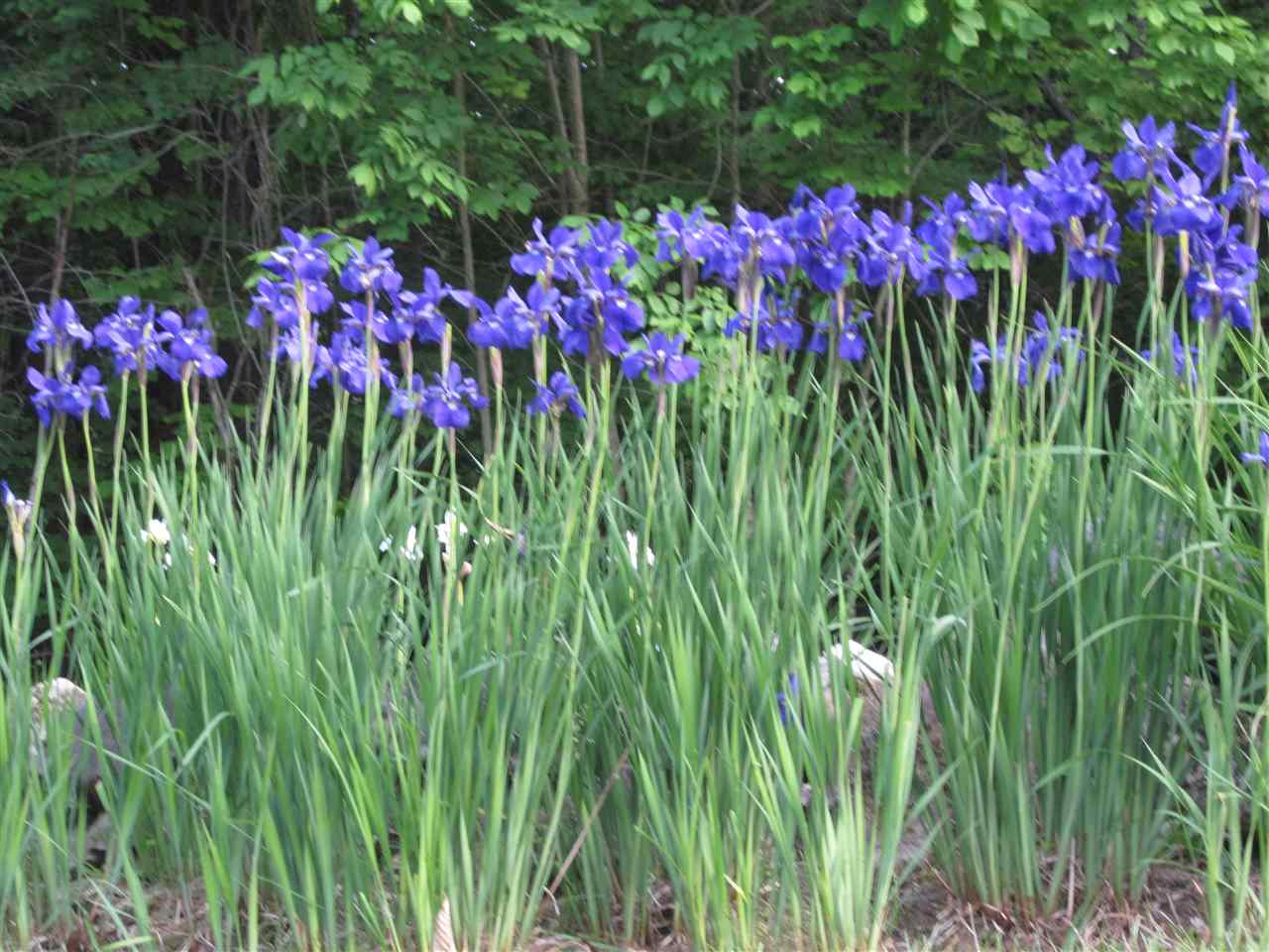 35 Upper Bailey Road Thetford, VT 05075 - Photo 23 of 24