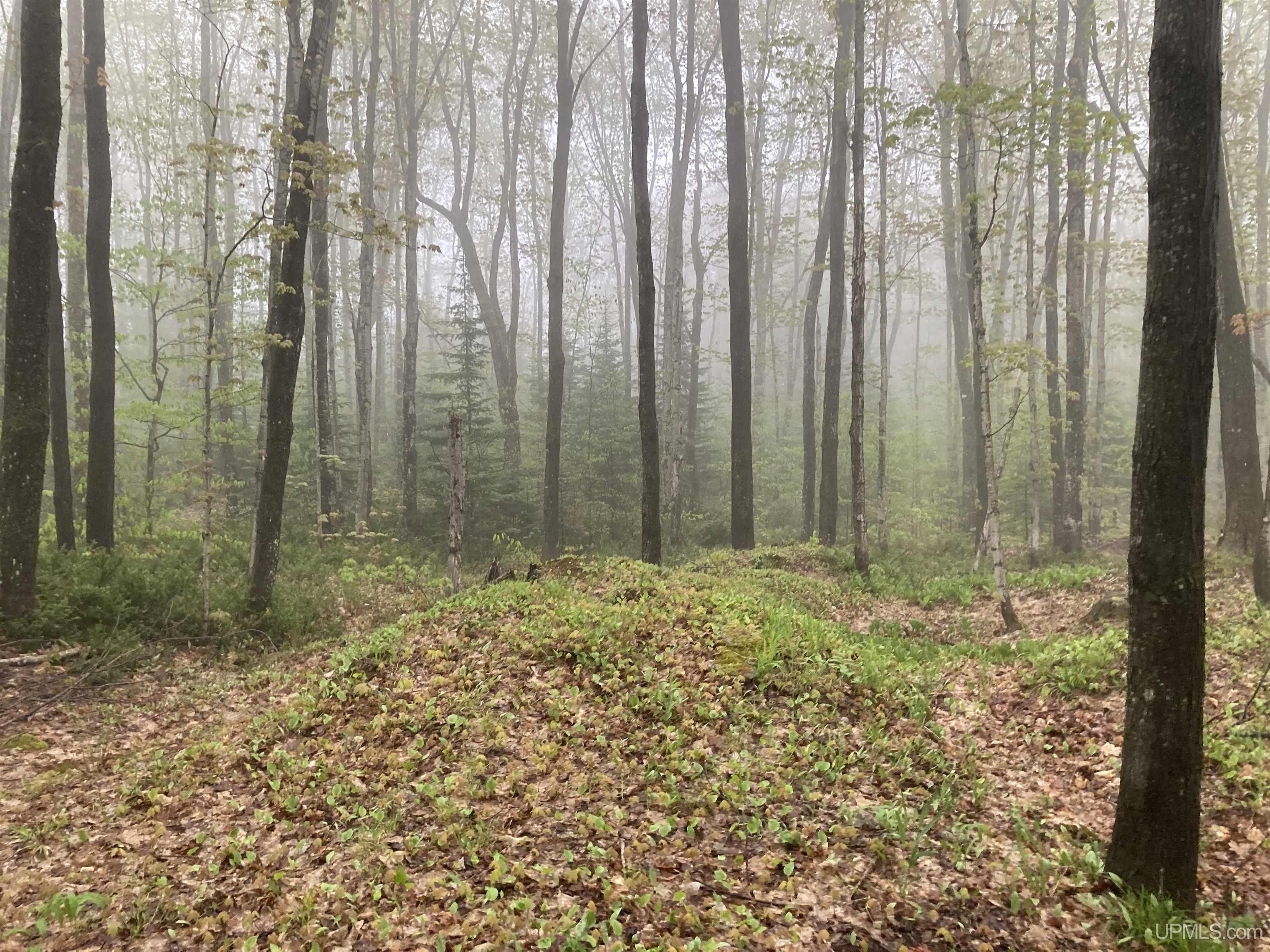 N7572 Carmody Road Munising, MI 49862 - Photo 15 of 16
