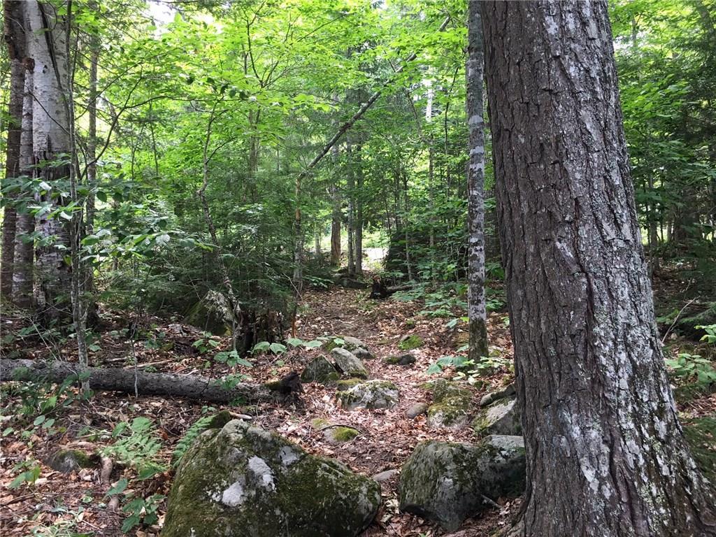 Lot 4 Gales Road Abbot, ME 04406 - Photo 13 of 16 Photo