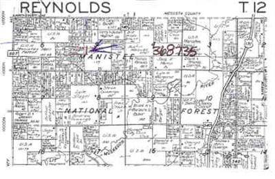 11300 Whitefish Road Newaygo, MI 49337 - Photo 1 of 1 Primary Photo