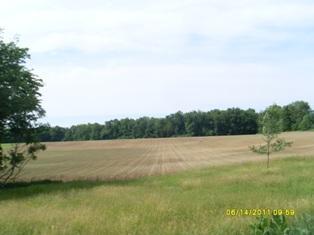 14715 Highway 216 Three Rivers, MI 49093 - Photo 5 of 10 Additional Photo