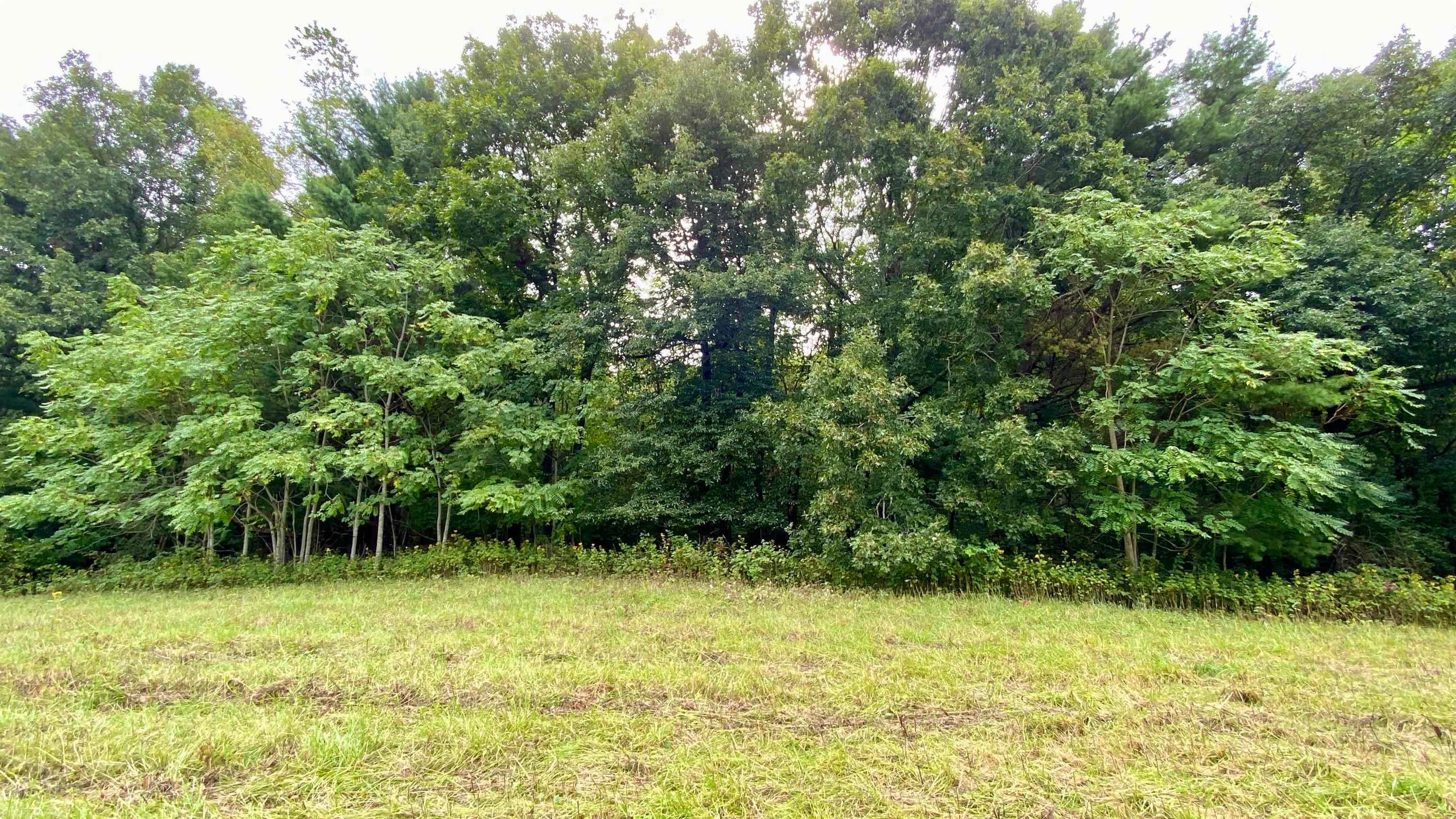 Tbd Castleton Road Max Meadows, VA 24360 - Photo 16 of 37 Gallery Image 16