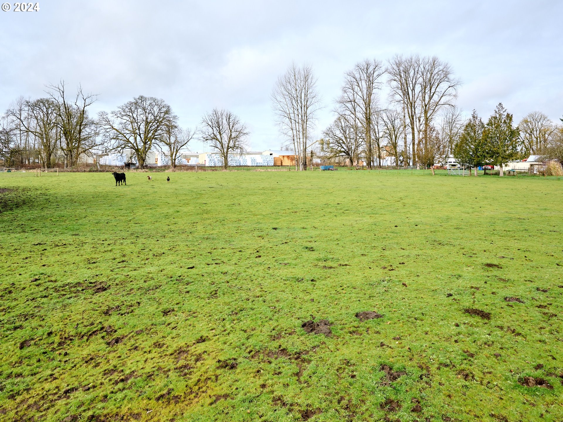 15740 South Macksburg Road Molalla, OR 97038 - Photo 4 of 30 Gallery Image 4
