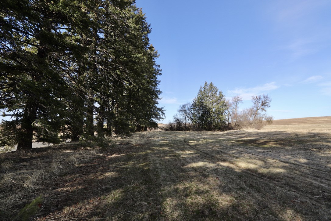 26123 East Truax Road Fairfield, WA 99012 - Photo 27 of 45 Gallery Image 27