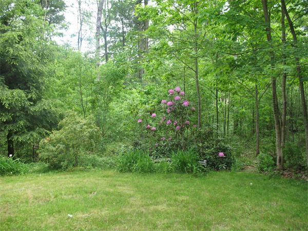 433 West Pelham Road Shutesbury, MA 01072 - Photo 22 of 22 Gallery Image 22
