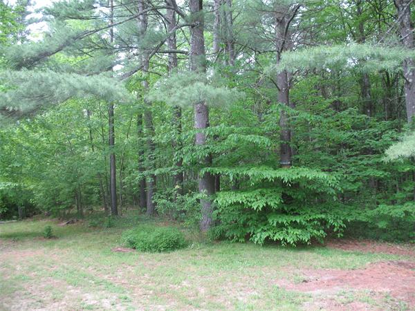 433 West Pelham Road Shutesbury, MA 01072 - Photo 7 of 22 Gallery Image 7