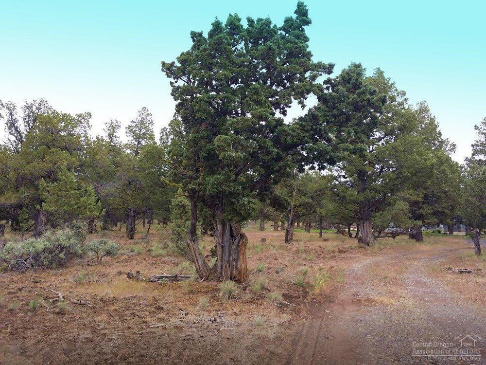 69370 Holmes Road Sisters, OR 97759 - Photo 1 of 14 Primary Photo