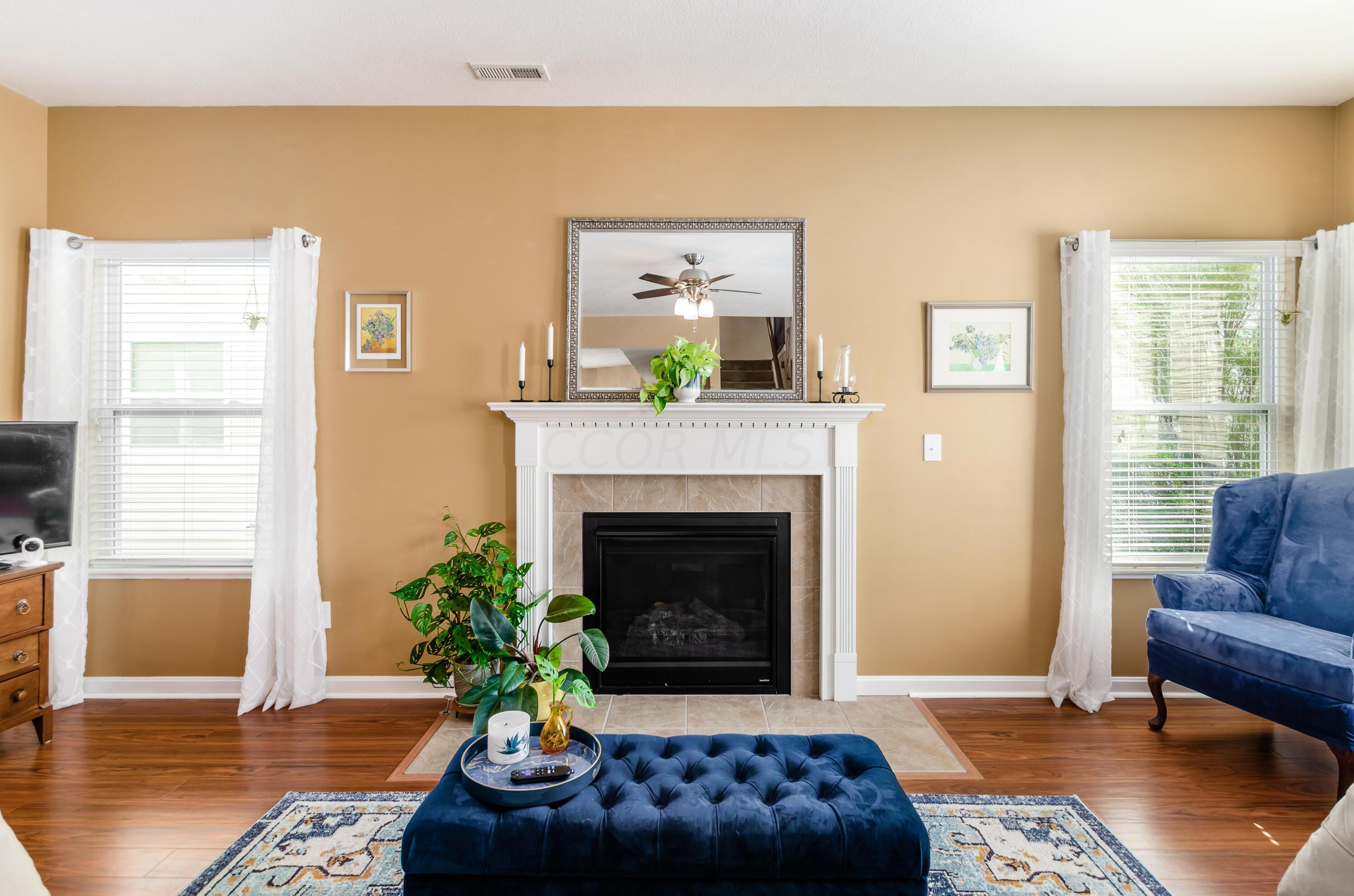 5881 Myrick Road Dublin, OH 43016 - Photo 16 of 36 Gas Fireplace