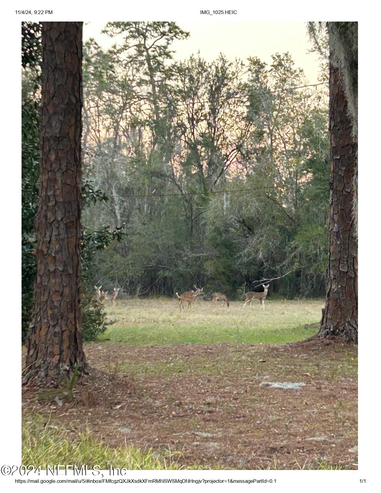 104 Riverside Lane Palatka, FL 32177 - Photo 16 of 22 a view of outdoor space and yard