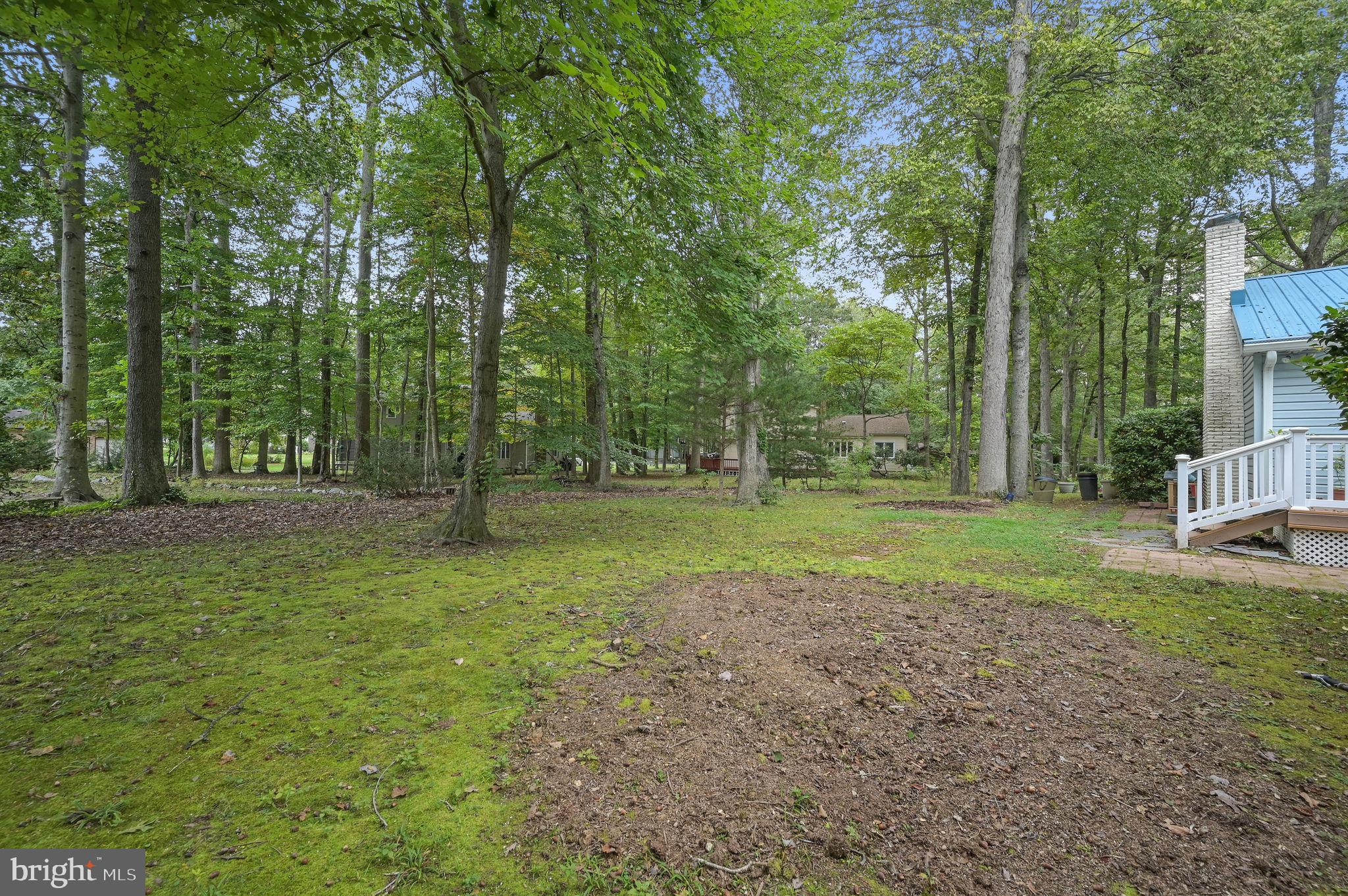 235 Carnoustie Road Dover, DE 19904 - Photo 5 of 30 a view of a tree in the middle of a yard