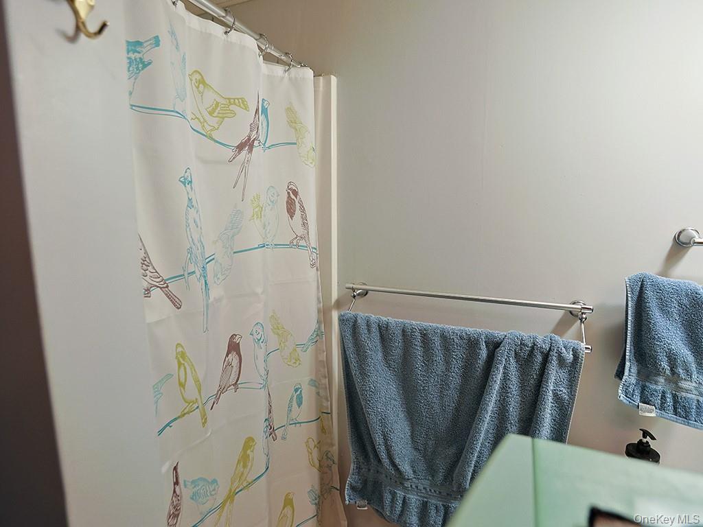 68 Kennel Road Cuddebackville, NY 12729 - Photo 16 of 21 a bathroom with a shower and a mirror