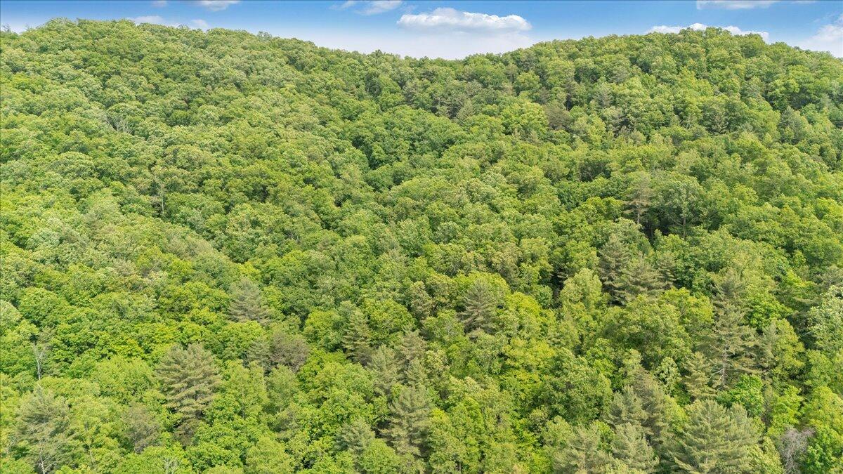 3994 Yates Road Shawsville, VA 24162 - Photo 7 of 40 30-DJI_20260516160103_0026_D