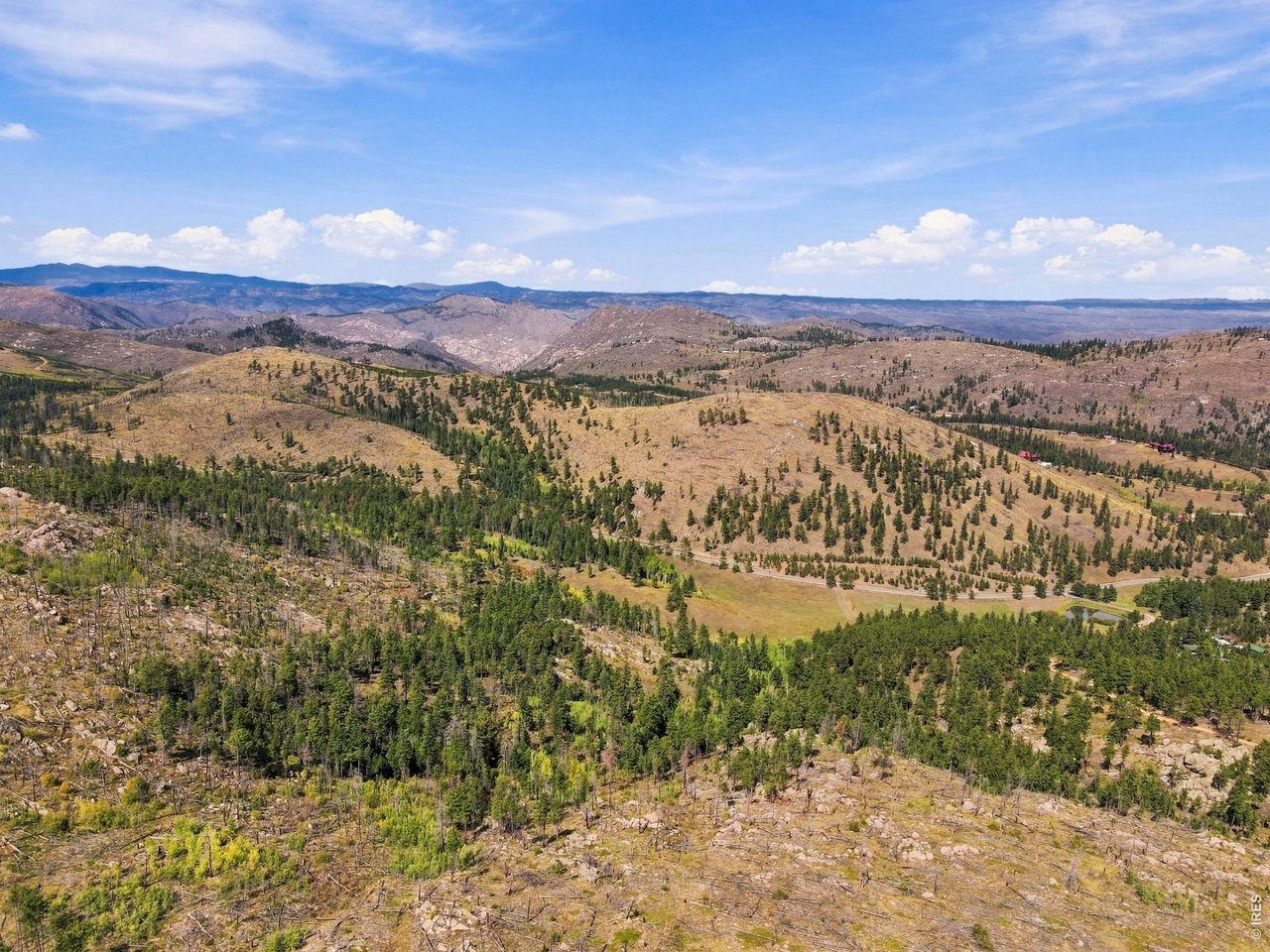 14133 Rist Canyon Road Bellvue, CO 80512 - Photo 28 of 44 Gallery Image 28