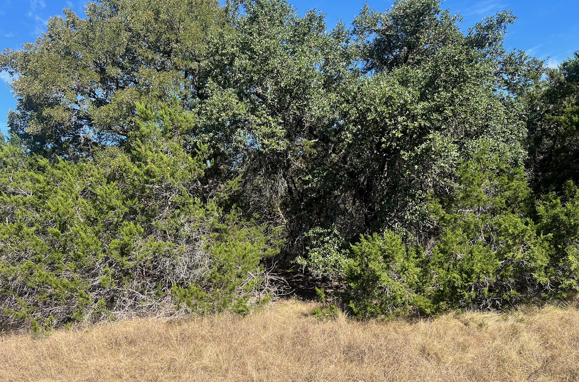 Tbd Narrows Road Blanco, TX 78606 - Photo 1 of 18