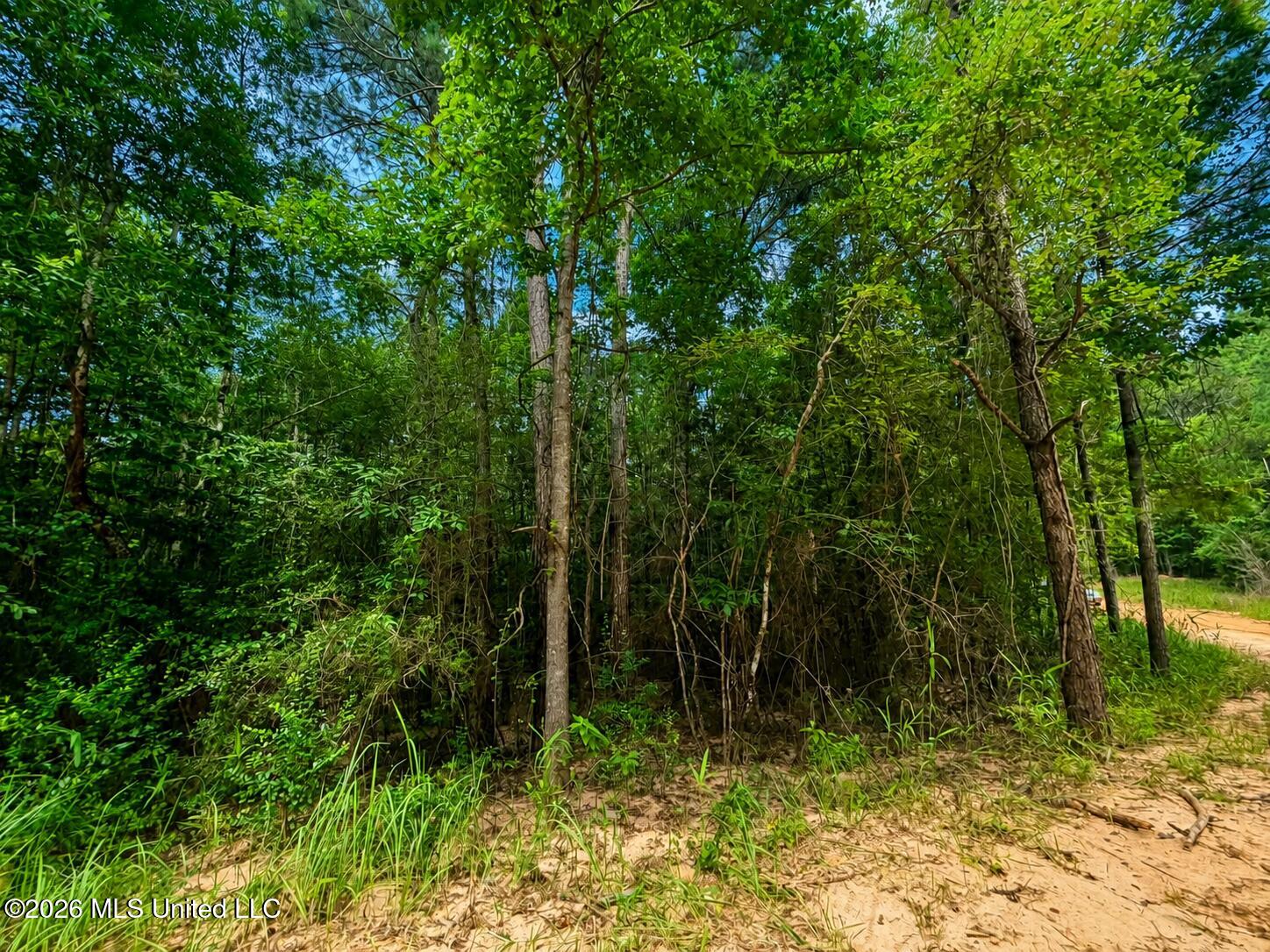 4.39-acres Man Moulds Road Lucedale, MS 39452 - Photo 11 of 15 land (13)