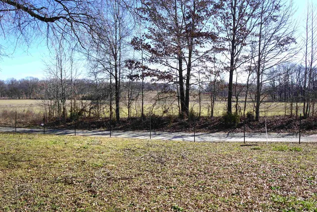 $225,000 | 375 Emmith Culberth Lane, Mason, TN 38049