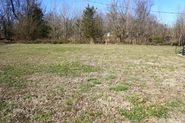 a view of a field with trees in the background