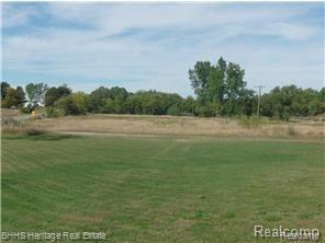 984 North Dietz Road Webberville, MI 48892 - Photo 1 of 7 Dietz 1.jpg