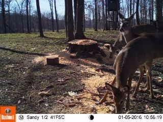 100 Big Sandy Road Mount Vernon, KY 40456 - Photo 3 of 34 Photo 3