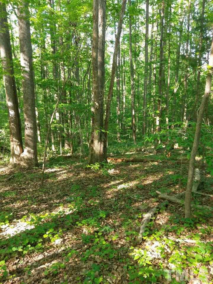 Lot 19 Acorn Court Rougemont, NC 27572 - Photo 4 of 4