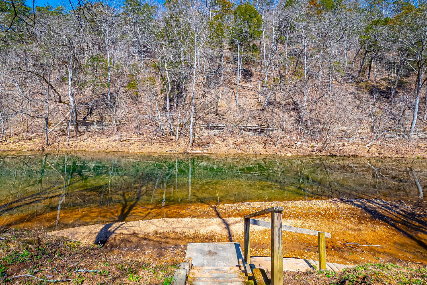 5125 Old Harding Road Franklin, TN 37064 - Photo 45 of 50 a view of a backyard