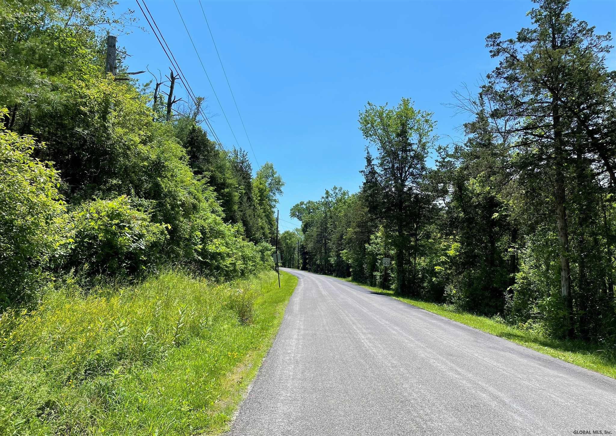 Flats Road Catskill, NY 12414 - Photo 6 of 8 Photo 6