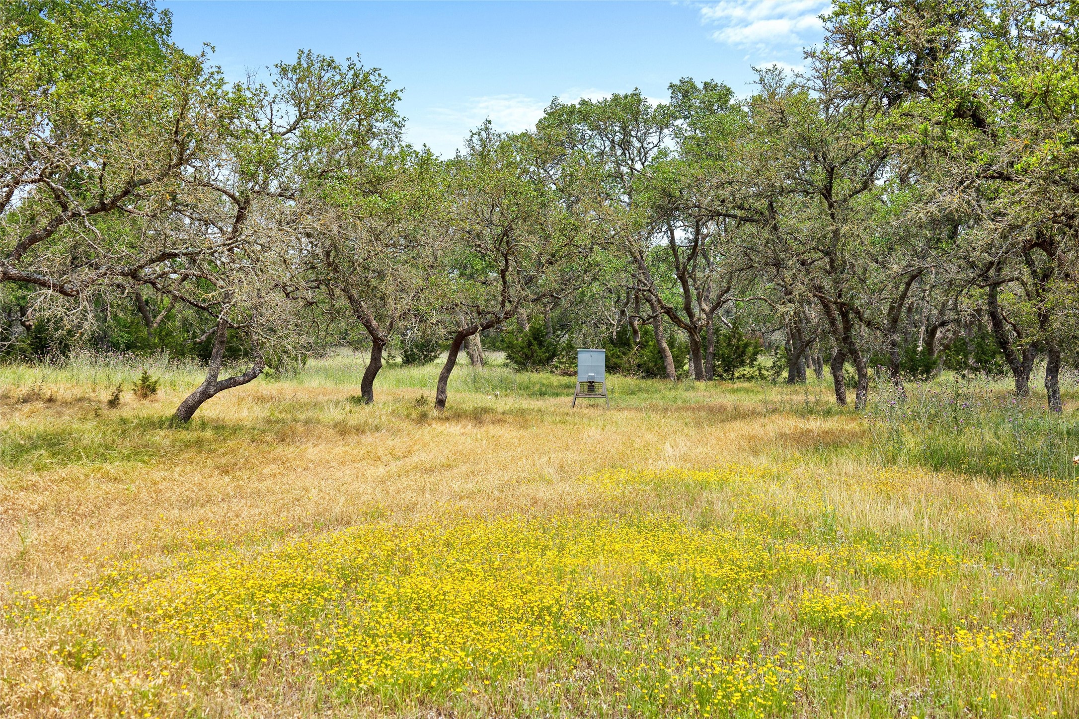 426 Preiss Ranch Road Blanco, TX 78606 - Photo 36 of 40