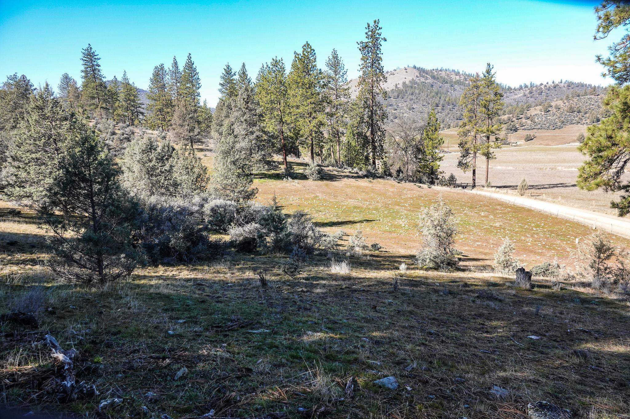 0 Scarface Road Fort Jones, CA 96032 - Photo 21 of 35 Gallery Image 21