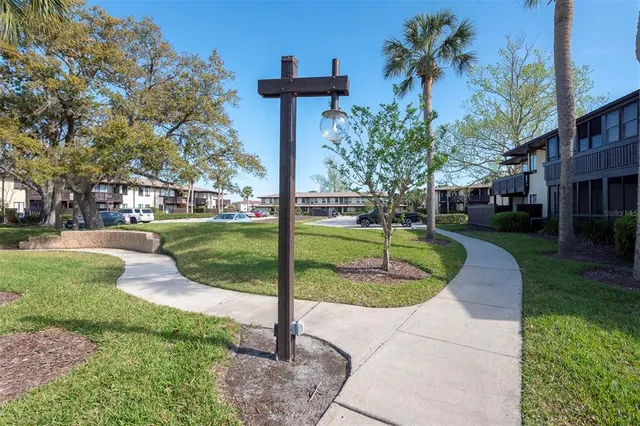 a view of a park with plants and trees