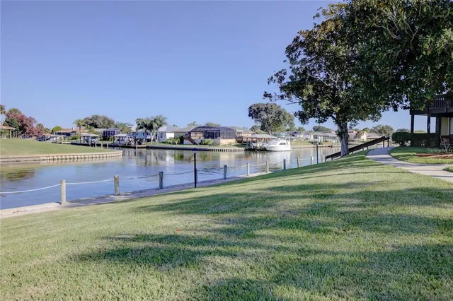 a garden with lots of buildings in the background