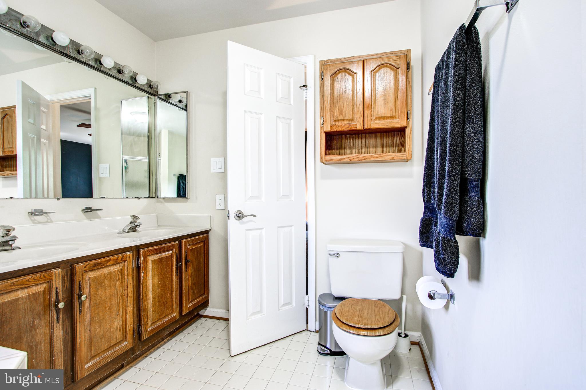 521 Ridgewell Way Silver Spring, MD 20902 - Photo 24 of 48 Ample storage space in vanity area.