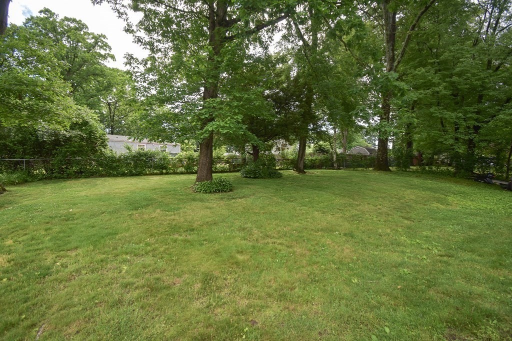141 Louis Road Springfield, MA 01118 - Photo 27 of 34 Gallery Image 27