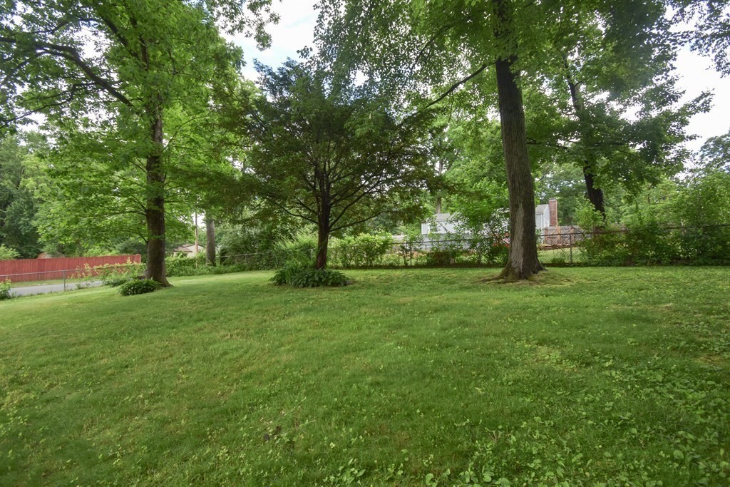 141 Louis Road Springfield, MA 01118 - Photo 31 of 34 Gallery Image 31