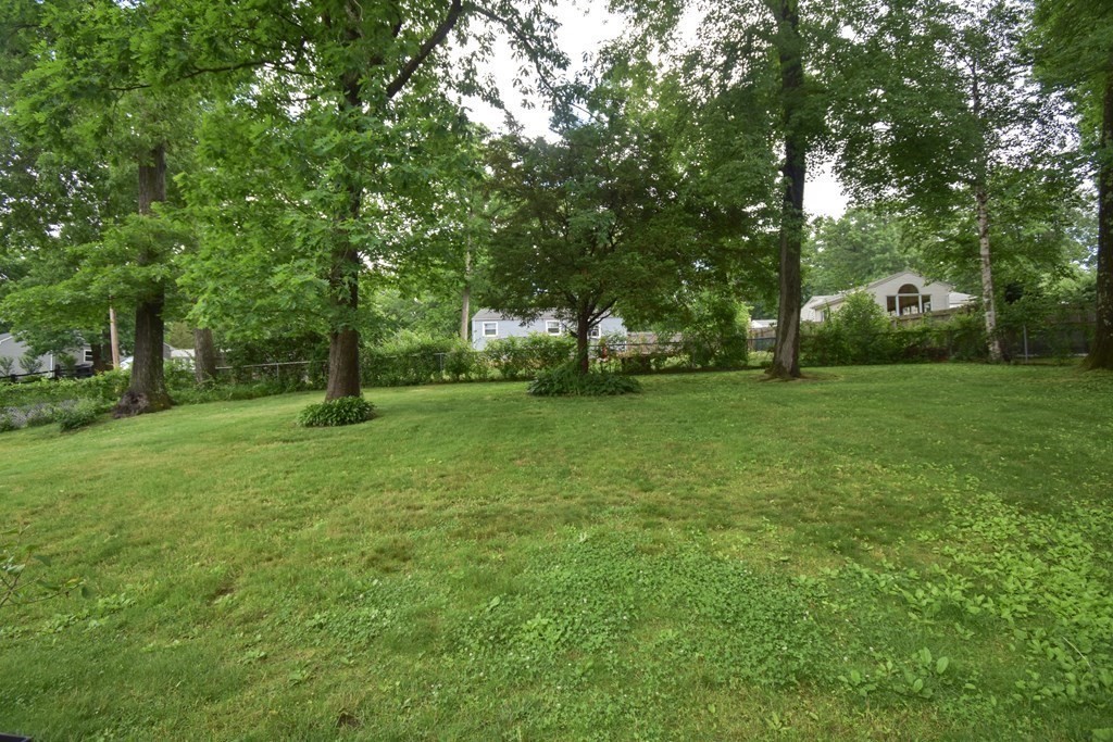 141 Louis Road Springfield, MA 01118 - Photo 32 of 34 Gallery Image 32
