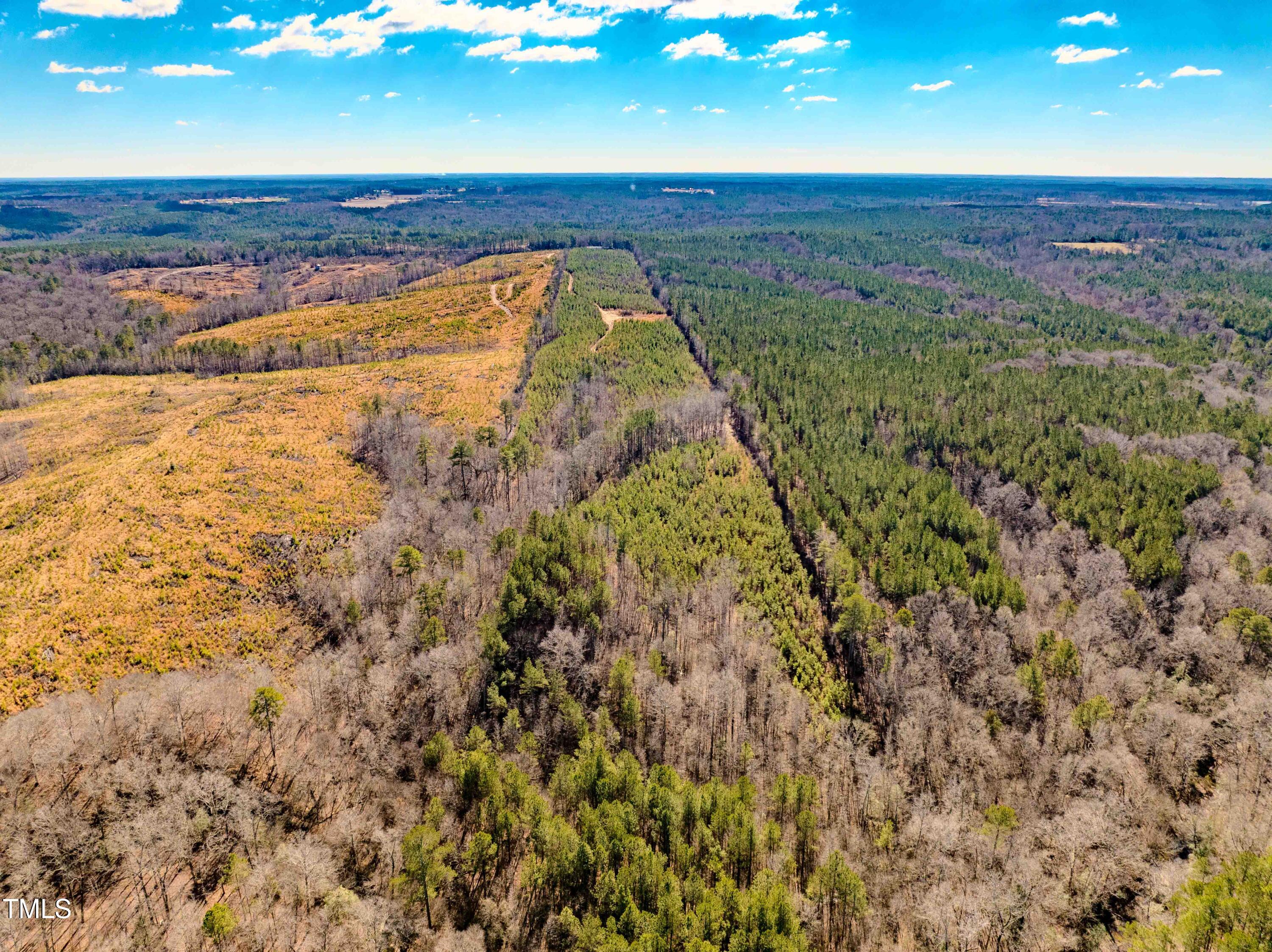0 Hicks Road Broadway, NC 27505 - Photo 2 of 29 31.06ac - Harnett Co. (1)