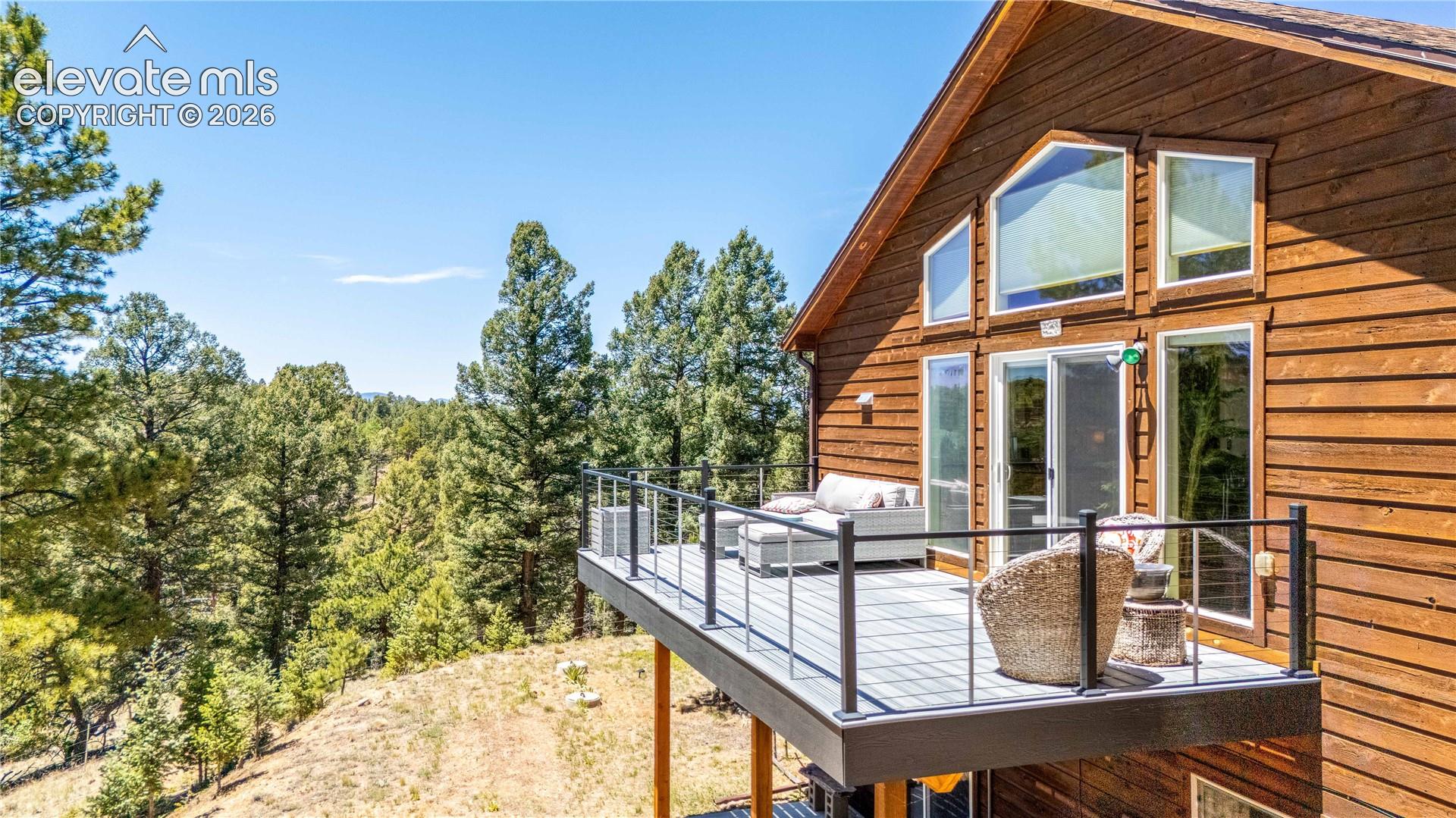 161 Wahsatch Road Florissant, CO 80816 - Photo 15 of 36 Gallery Image 15